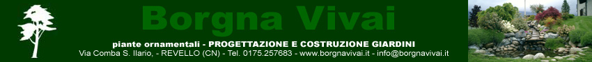 www.borgnavivai.it