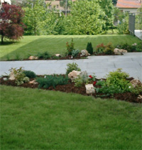 BORGNA VIVAI